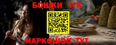 индика Ефремов
