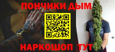 индика Ефремов