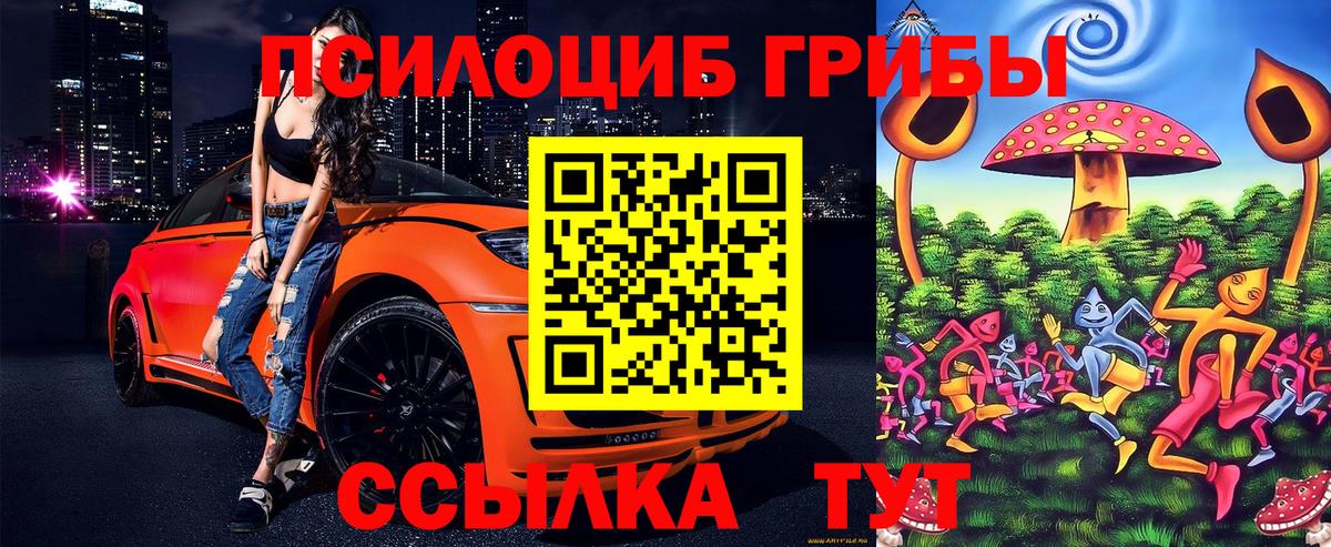 Псилоцибиновые грибы мицелий  купить закладку  Ачинск 