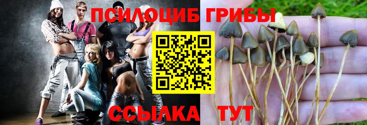 Ачинск  Псилоцибиновые грибы Psilocybe  Вход с VPN 